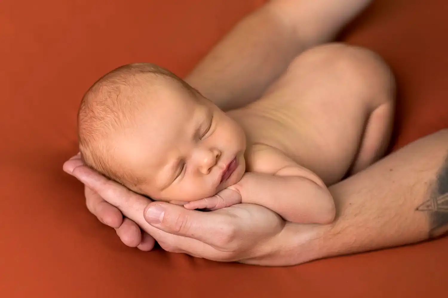 Baby slaapt in de handen van zijn vader tijdens een newbornshoot.